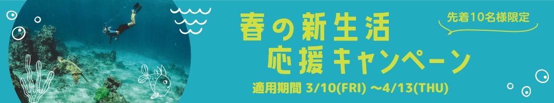 ダイビングライセンス取得 春の新生活応援キャンペーン