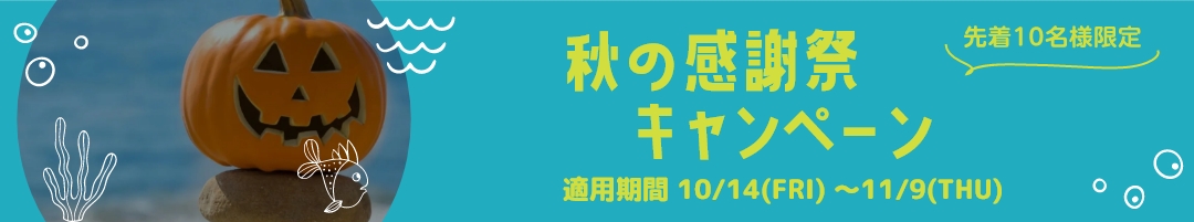 秋の感謝祭！ダイビングライセンス取得キャンペーン