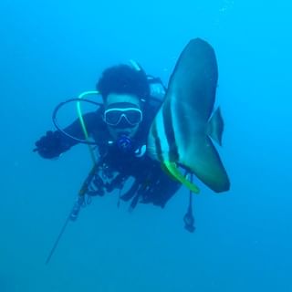 最近ツバメウオの出現確率UP！
人懐こくって近くに寄ってきてくれるのでツーショットも撮れます