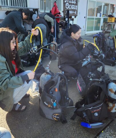 オープンウォーター講習𓂃🫧‪のイメージ